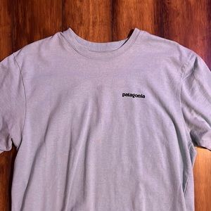Mens Patagonia shirt (Size- L/ color- Light blue)